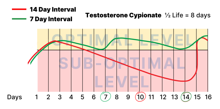 Chart showing testosterone levels based on different dosing schedules with weekly dosing providing more stable levels